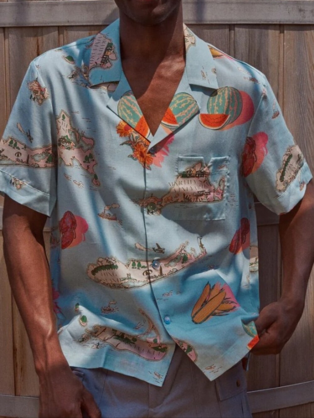 Tombolo Island Hopping Button Down
